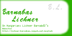 barnabas lichner business card